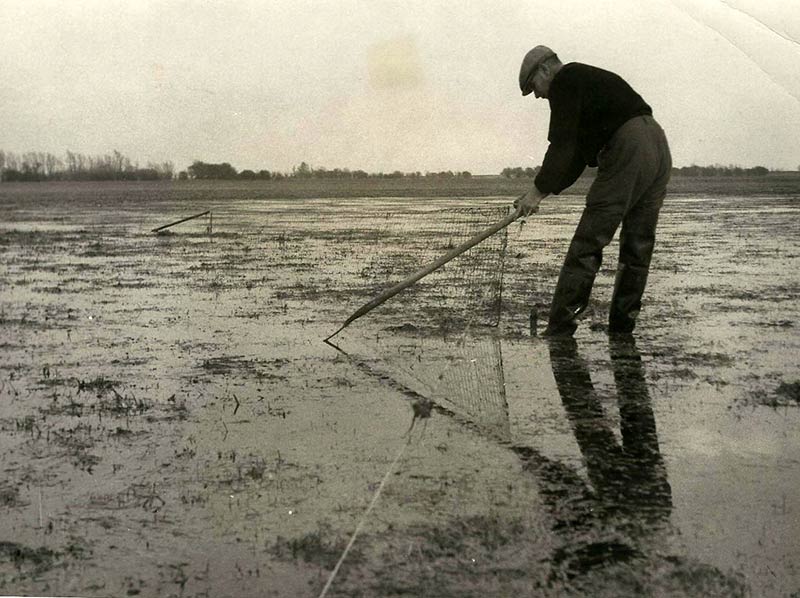 ernie-james-plover-net