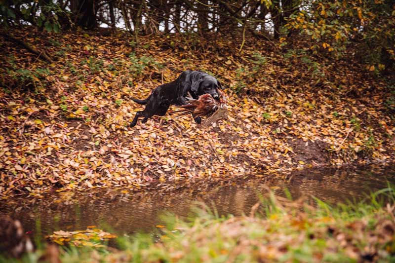 BASC Fenland Wildfowlers-191low
