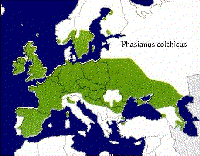 pheasantmap