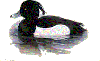 tuftm